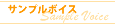 サンプルボイス